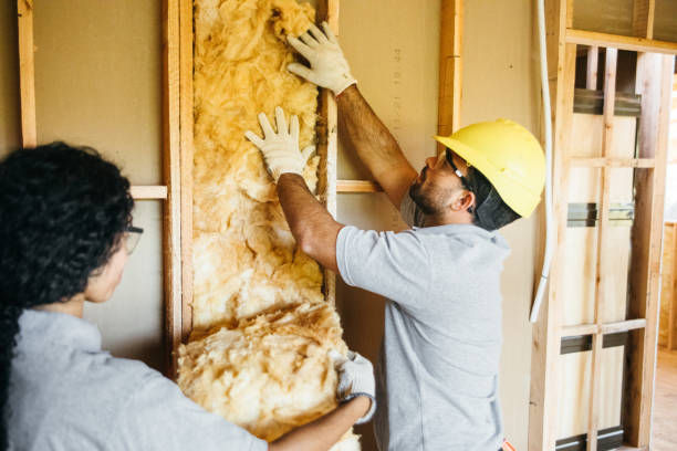 Best Blown-in Insulation  in Lovejoy, GA