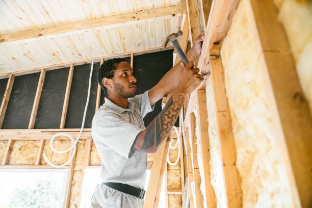 Best Spray Foam Insulation  in Lovejoy, GA